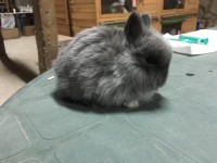 /album/algunos-de-nuestros-reproductores/img-0429-1-jpg/